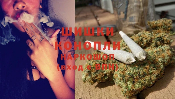 бошки Гусев