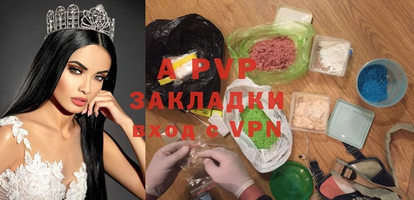 бошки Гусев