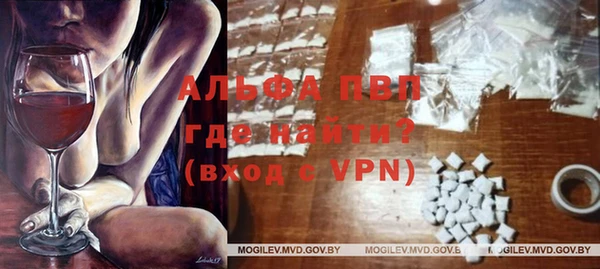 гашик Гусиноозёрск