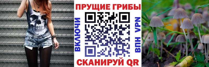 Псилоцибиновые грибы Psilocybine cubensis Купить где Ирбит